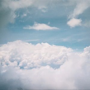 Meet your Posher, Will